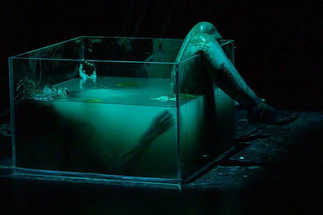 WILMA XMONTERRUBIO 14